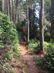 Last Import - 12 of 20