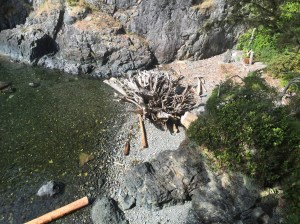 Last Import - 15 of 20