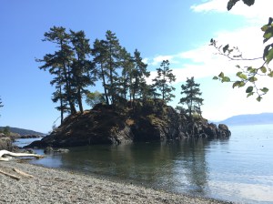 Last Import - 2 of 20