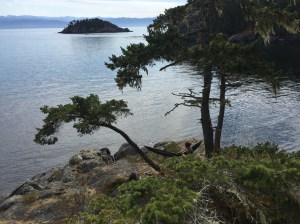 Last Import - 5 of 20