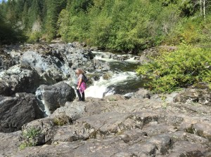 Favorites - 11 of 14