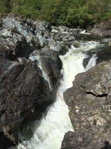 Favorites - 12 of 14