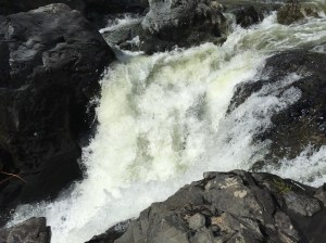 Favorites - 14 of 14