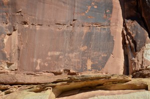 Last Import - 1 of 39