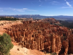 Last Import - 1 of 4