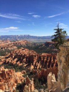 Last Import - 3 of 4