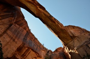 Last Import - 9 of 39