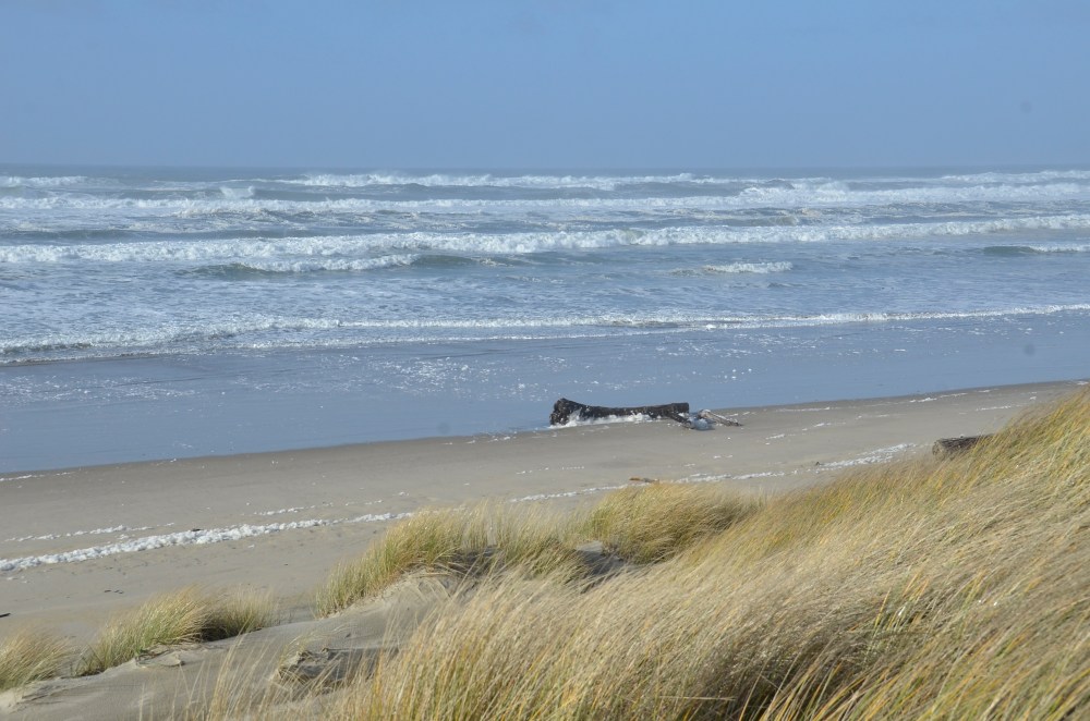 Last Import - 1 of 5