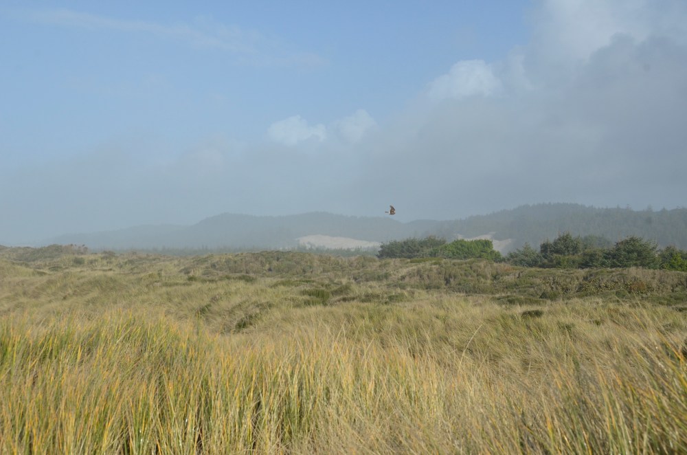 Last Import - 2 of 5