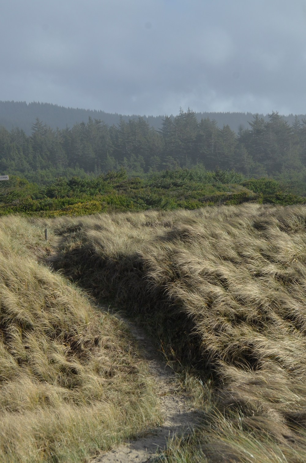 Last Import - 4 of 5