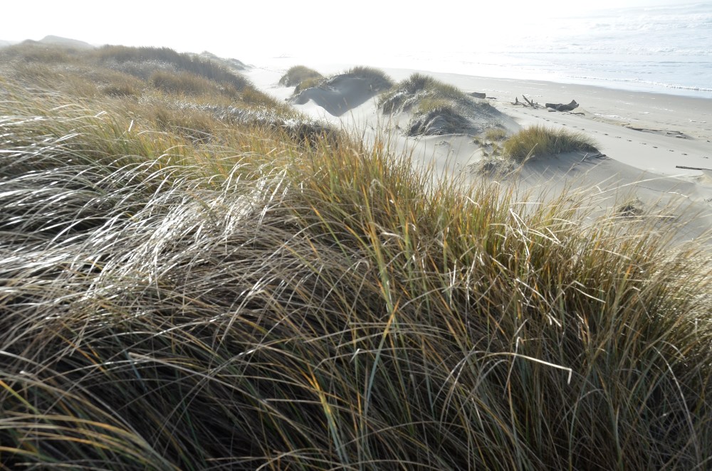 Last Import - 5 of 5