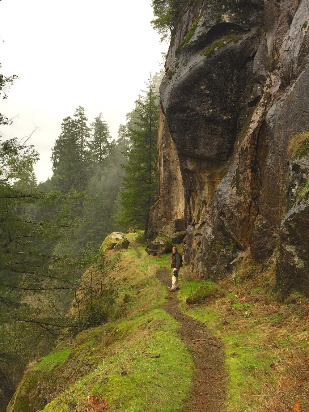 Trail to top of Golden Falls